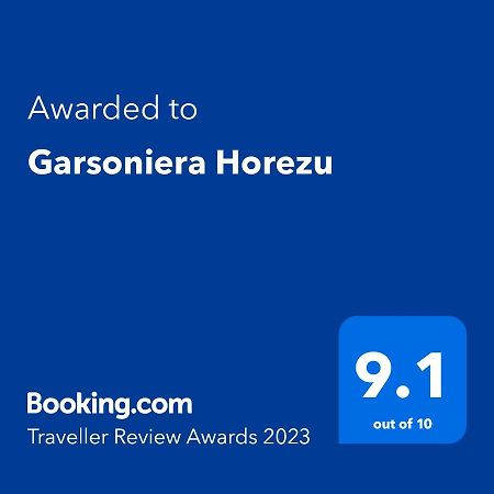 Garsoniera Horezu Apartment Bagian luar foto