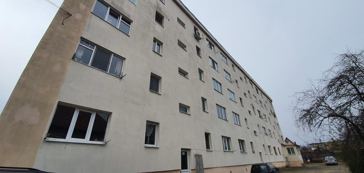 Garsoniera Horezu Apartment Bagian luar foto